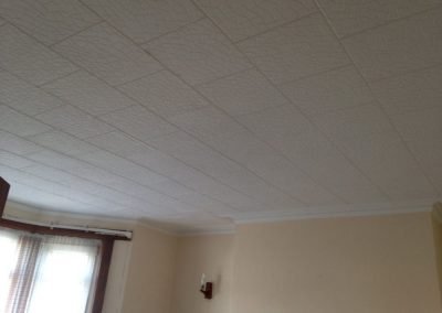 Living room ceiling tiles