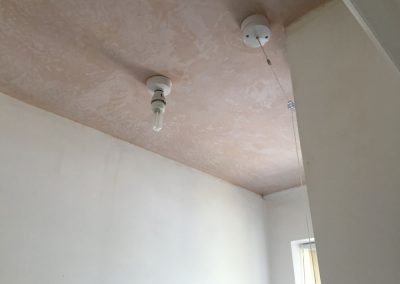 Downstairs toilet plastered